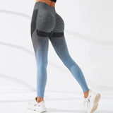 Ombre Fitness Leggings